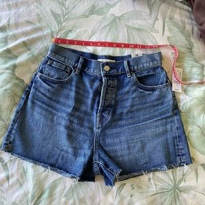 PACSUN NWT High Rise Icon Shorts